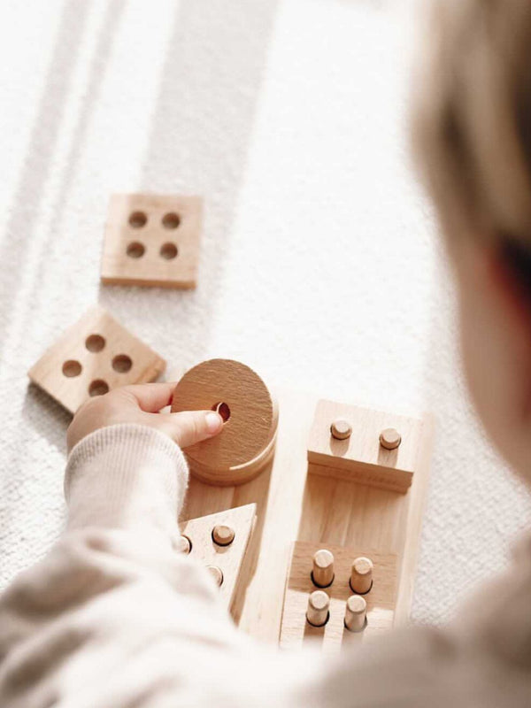 Eco Wooden Shape Sorter